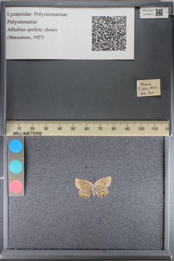 Media type: image;   Entomology 193419